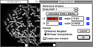 IPLab | 株式会社ソリューションシステムズ
